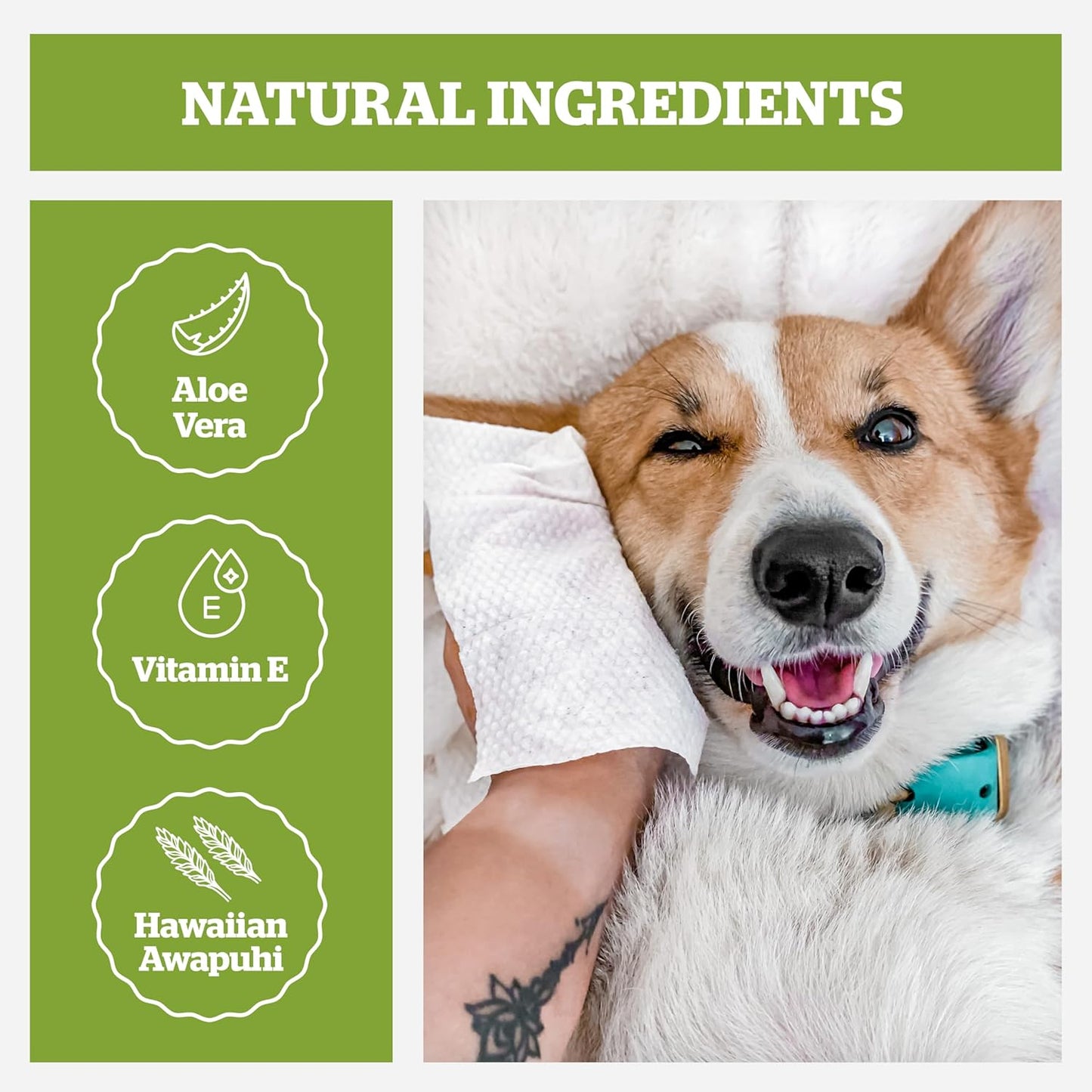 Pogi’s Dog Grooming Wipes – Sensitive Skin, Hydrating & Fragrance-Free (100 Ct)