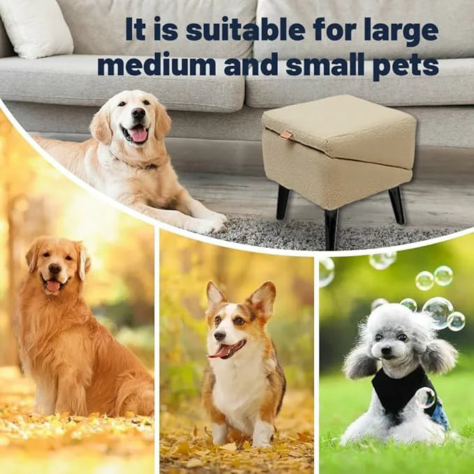 Convertible Pet Ramp + Step Stool – Space-Saving Design 🐾